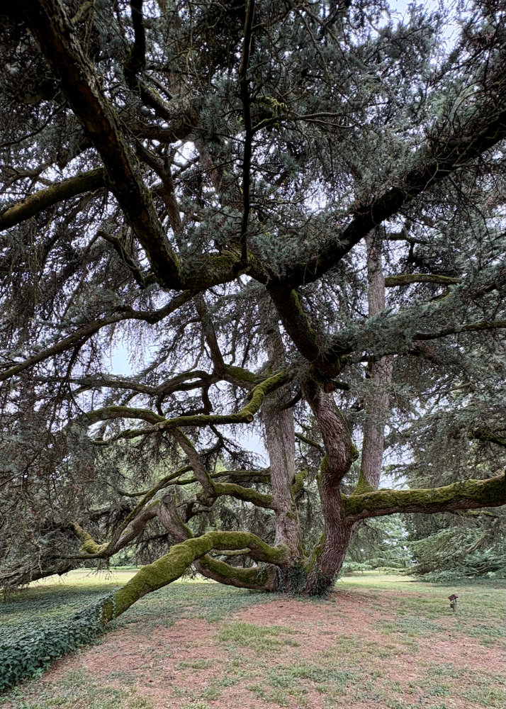 Monferrato, un luogo lontano