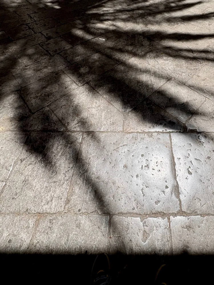 Shadows in the alleyways of Palermo